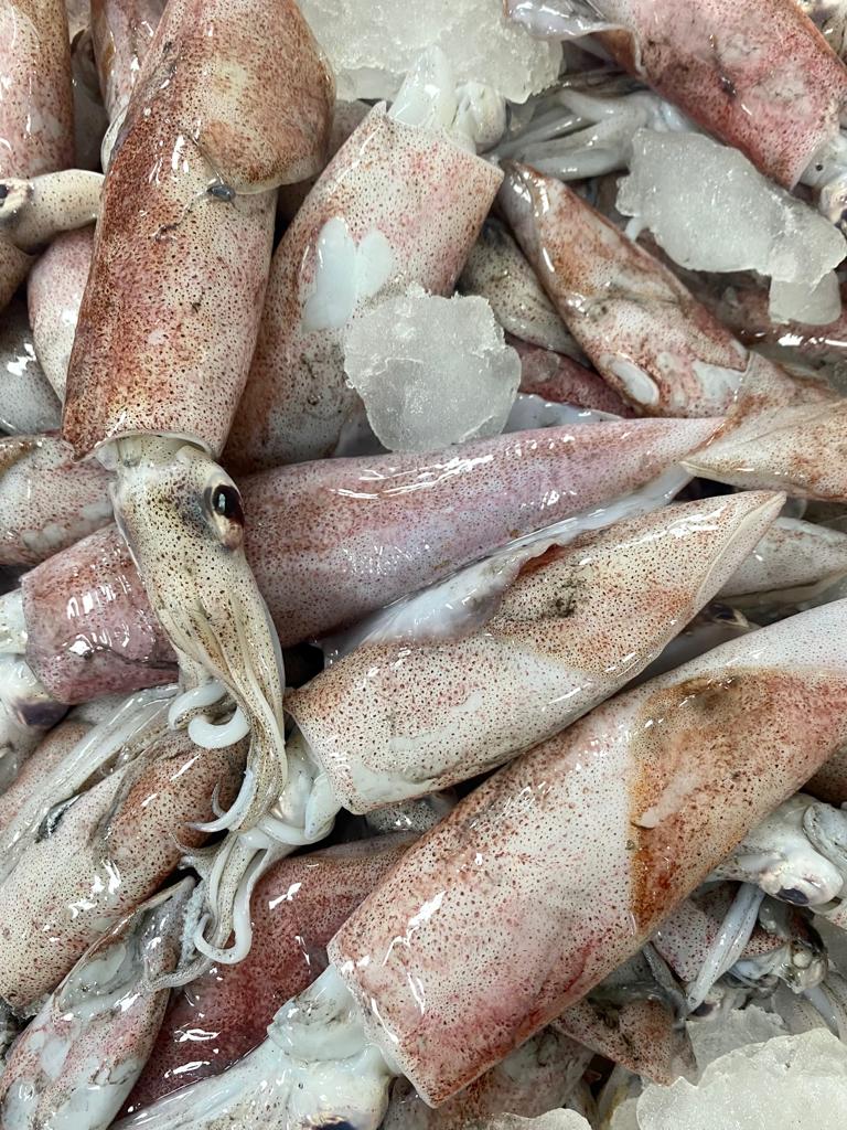 Raw Fish & Seafood | سمك وماكولات بحريه