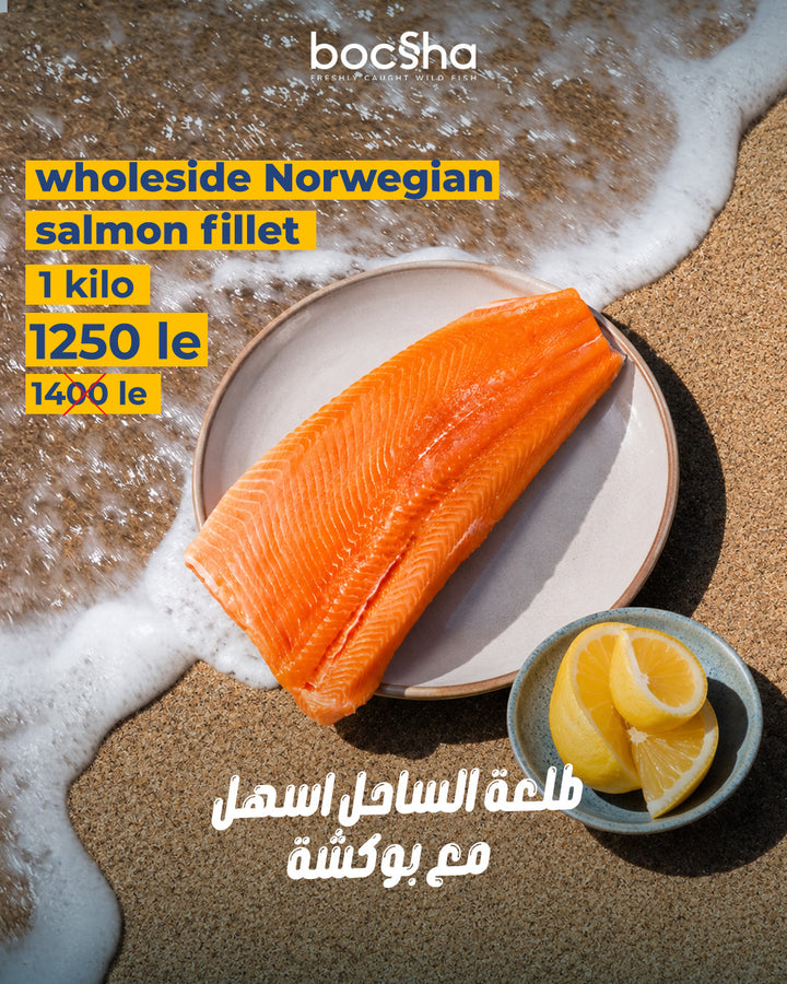 Norwegian Salmon Whole-Side Fillet  |  سلمون نرويجي  فيليه جانب كامل