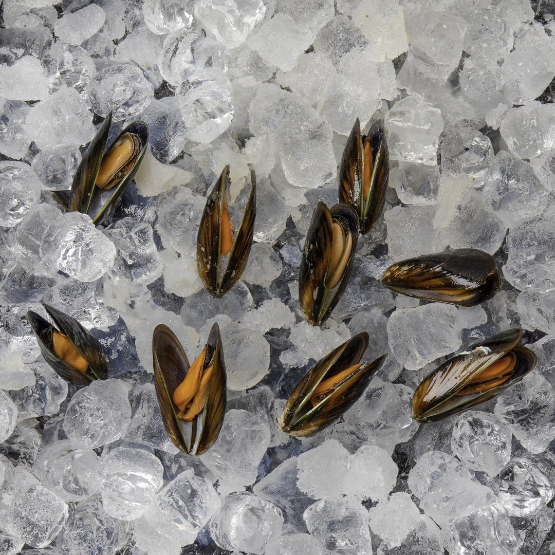 1kg imported full shell mussels | ١ك بلح بحر كامل مستورد