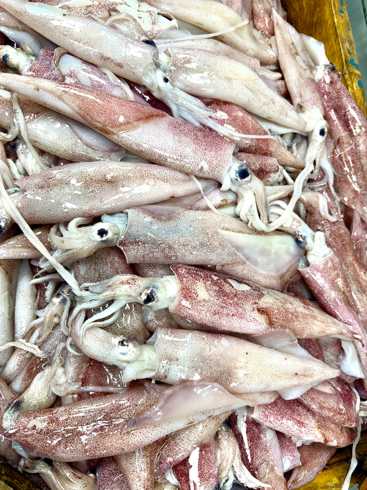 Wild calamari 1kg | كاليماري حر 1ك