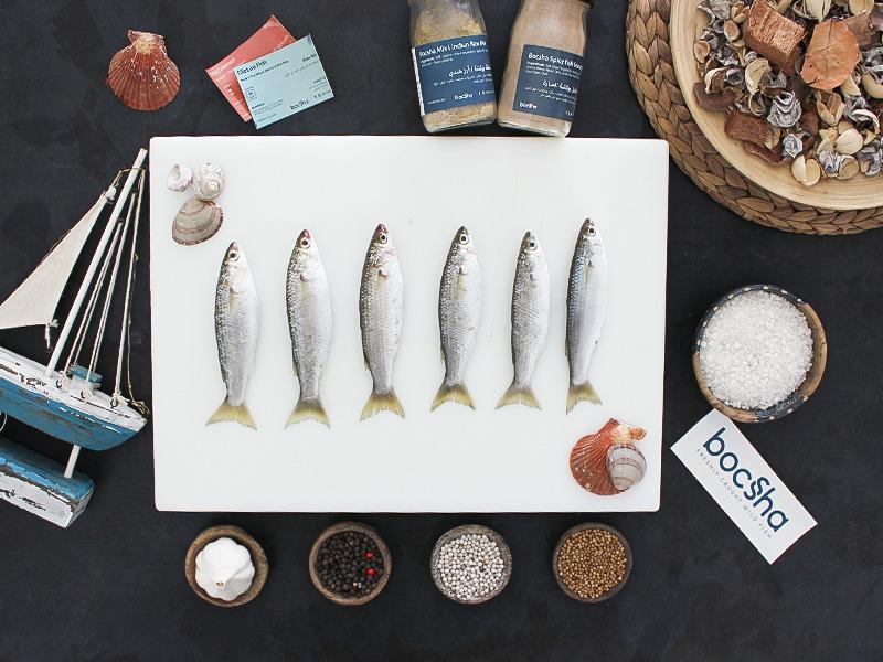 Wild Keeled Mullet | سهلية حر